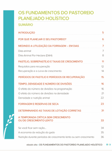 Grazing E-Book Bundle (Portuguese (Br) Translation)