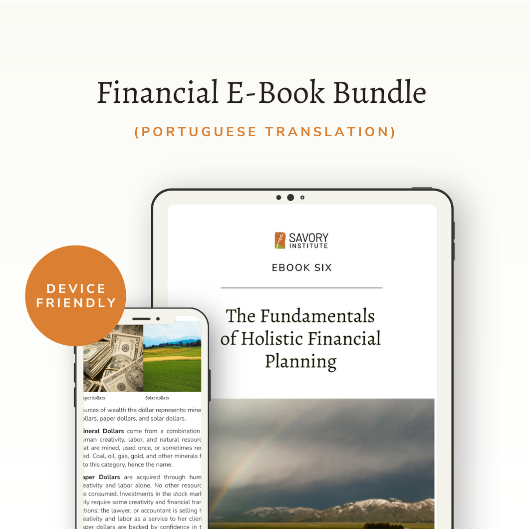 Finanz-E-Book-Bundle (Portugiesisch (Br) Übersetzung)