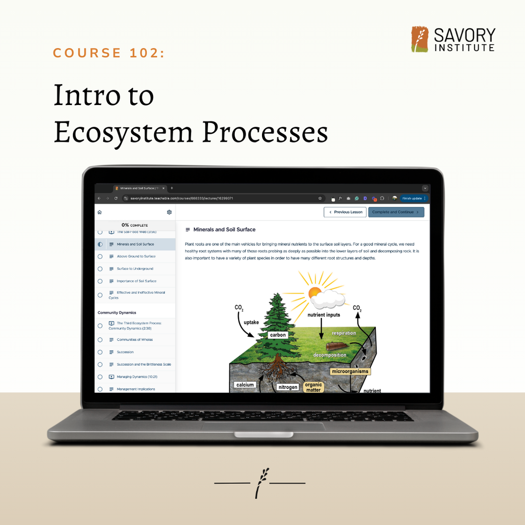 102: Introduction to Ecosystem Processes