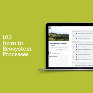 102: Introducción a los procesos de los ecosistemas