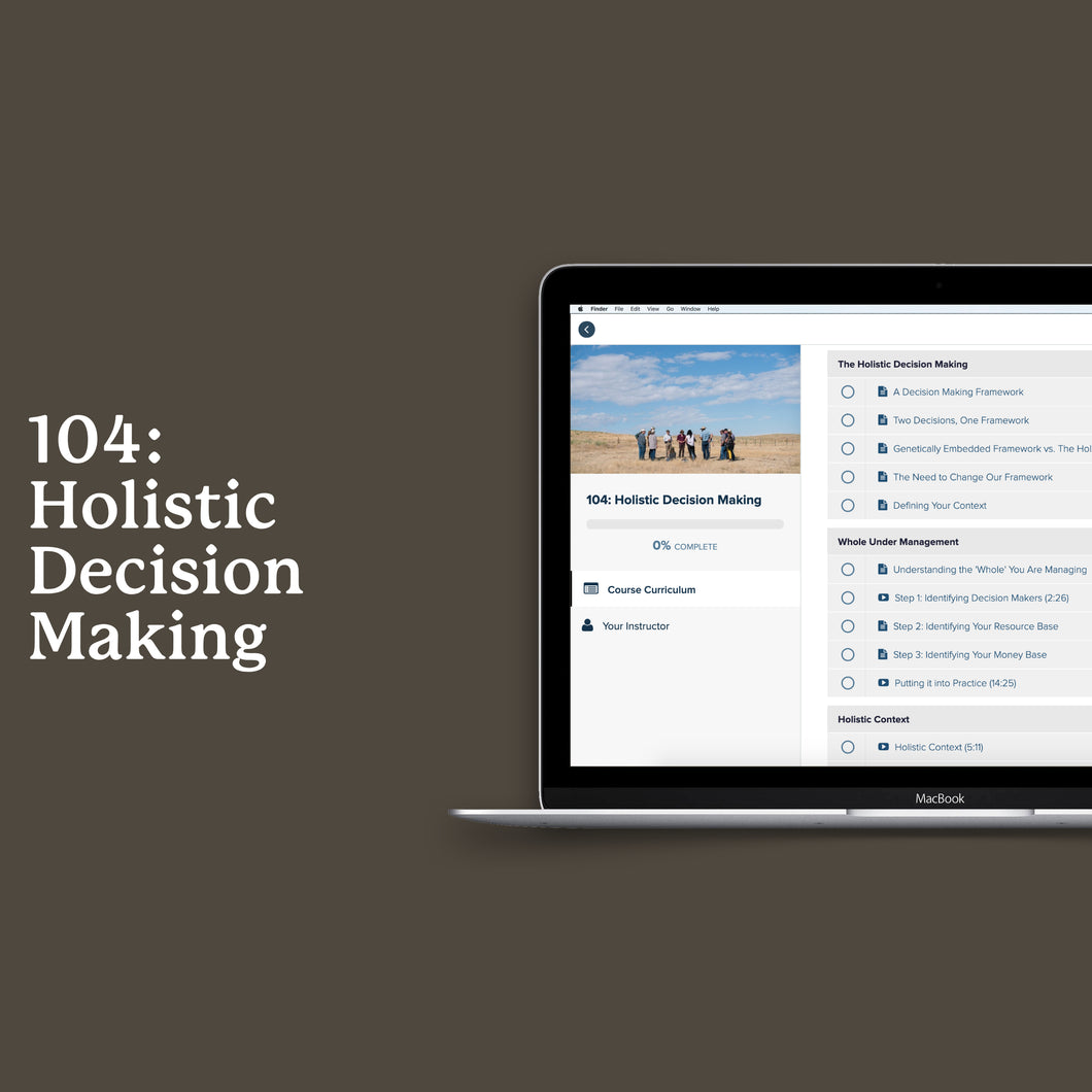 104: Holistic Decision Making