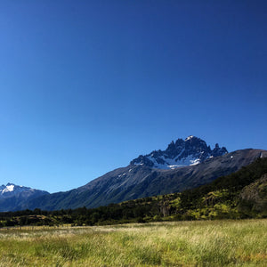 Reise nach Patagonien: Chile, Januar 2020