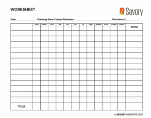 Standardized Worksheet (English Version)